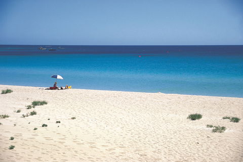 Eagle Bay - Attractions Melbourne 0
