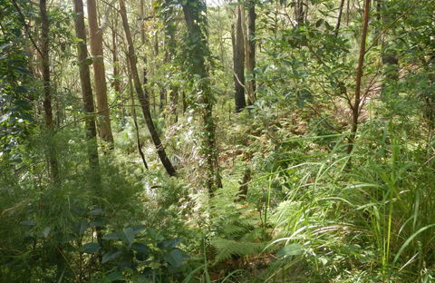 Gap Beach Walking Track - Attractions Melbourne 0