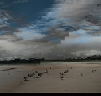 Hardwicke Bay - Attractions Melbourne