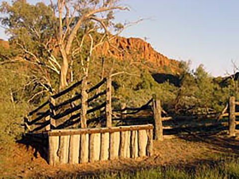 Illamurta Springs Conservation Reserve - Attractions Melbourne 0