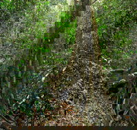 Iluka Nature Reserve - Attractions Melbourne