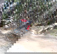Jolly Nose Mountain Bike Park - Attractions Melbourne