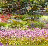 Jurassic Garden AR Experience - Attractions Melbourne