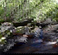 Kangaroo River - Attractions Melbourne