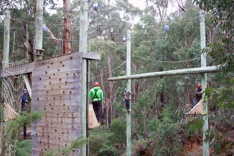 Kinglake Forest Adventures - Attractions Melbourne 1