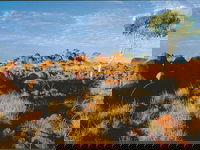 Kunjarra/The Pebbles
