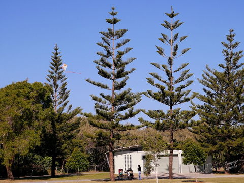 Kurrawa Park - Attractions Melbourne 0