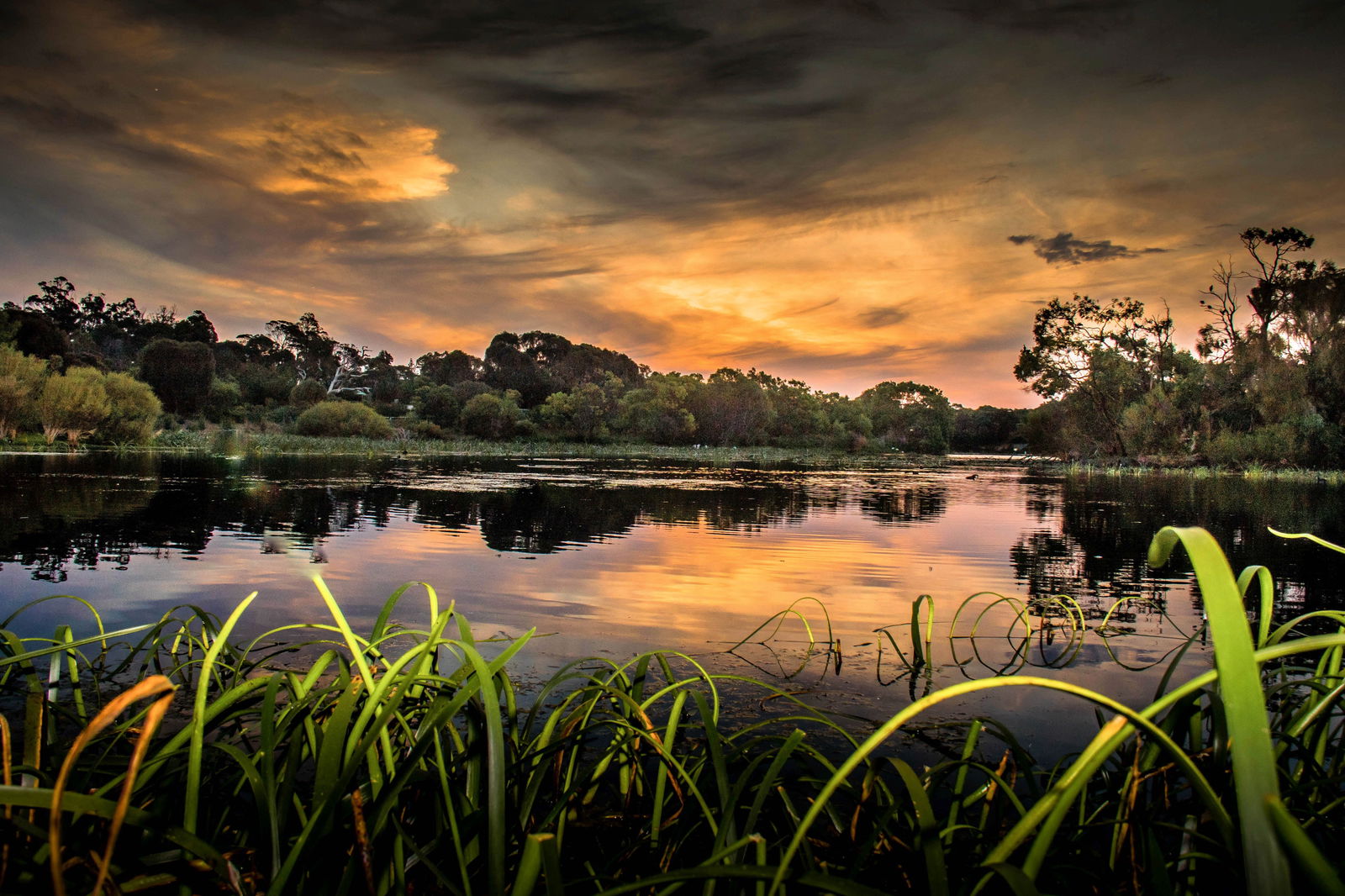  Attractions Melbourne
