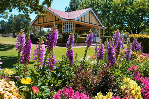 Laurel Bank Park - Attractions Melbourne 0