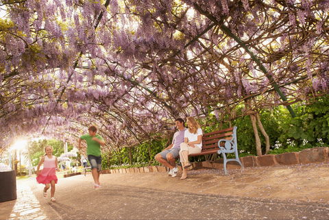 Laurel Bank Park - Attractions Melbourne 1