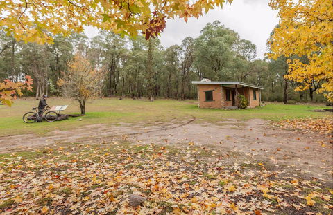 Major Clews Hut Walking Track - Attractions Melbourne 0