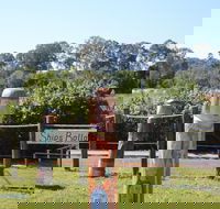 Maryboroughs Bollards - Attractions Melbourne