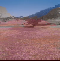 Meekatharra