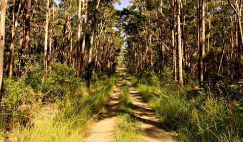 Mining Road Fire Trail, Old Gibber Road Rire Trail - Attractions Melbourne 0