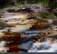 Mothar Mountain Rockpools - Attractions Melbourne
