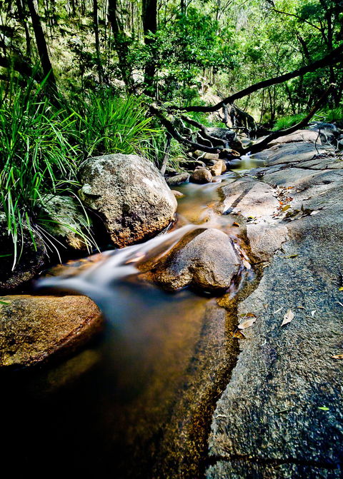 Mothar Mountain Rockpools - Attractions Melbourne 1