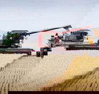 Mullaley - Attractions Melbourne