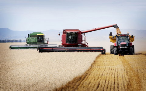 Mullaley - Attractions Melbourne 0