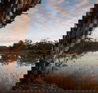 Murray-Kulkyne Regional Park - Attractions Melbourne