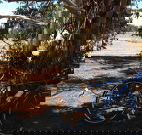 Murchison Rail Trail - Attractions Melbourne