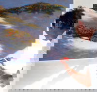 Neale Joseph Fine Art Gallery - Attractions Melbourne