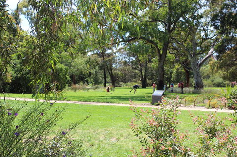 Parkville Heritage Walks - Attractions Melbourne 2