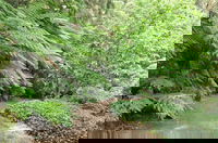 Pirianda Gardens