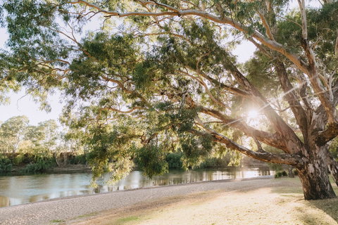 Riverside:  Wagga Beach - Attractions Melbourne 1