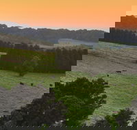 Robertson - Attractions Melbourne