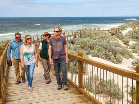 Seal Bay - Attractions Melbourne 2