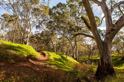 Shepherds Hill Recreation Park - Attractions Melbourne 1