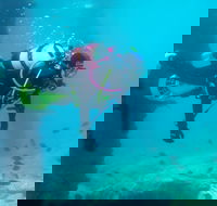 Shellharbour Scuba  and Photography Centre - Attractions Melbourne