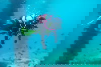 Shellharbour Scuba  and Photography Centre