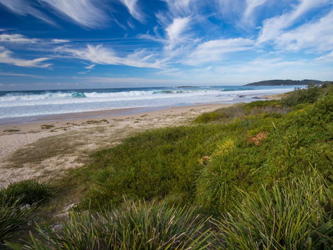 Shelly Beach - Attractions Melbourne 1