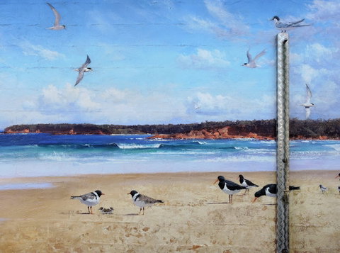 Shoalhaven Toilet Mural Tour - Attractions Melbourne 2