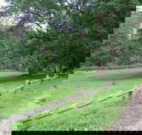 St Albans Reserve - Attractions Melbourne