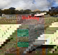 The Wallaby Track - Attractions Melbourne