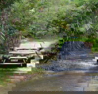 The Pioneer Valley and Eungella National Park - Attractions Melbourne