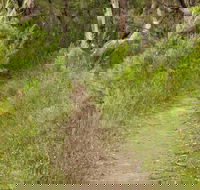 Three Views walking track - Attractions Melbourne