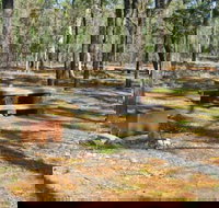 Two Dams picnic area - Attractions Melbourne