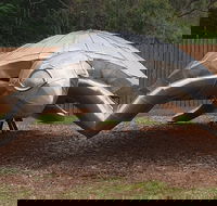 Underwater Marine Sculptures - Attractions Melbourne