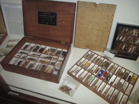 UQ Marks-Hirschfeld Museum Of Medical History - Attractions Melbourne 0