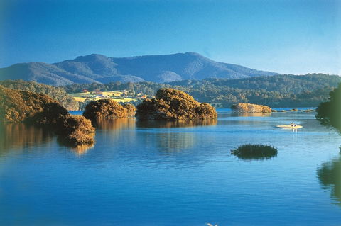 Wagonga Picnic Area - Attractions Melbourne 0