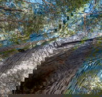 Wallumatta Nature Reserve - Attractions Melbourne
