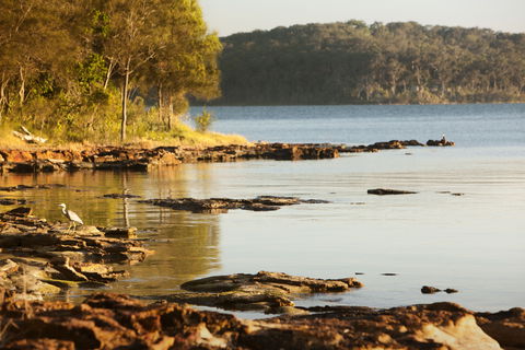 Wangi Wangi - Attractions Melbourne 0