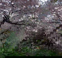 Wildwood Garden - Attractions Melbourne