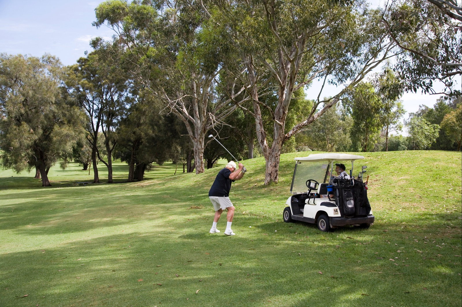 Como NSW Attractions Melbourne