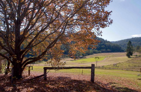 Yengo National Park - Attractions Melbourne 1