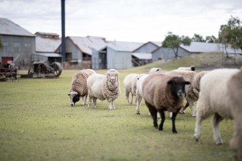 14 Day Gems Of The Outback - Attractions Melbourne 2