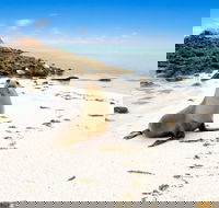 Abrolhos Islands - Attractions Melbourne